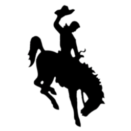 avatar logo