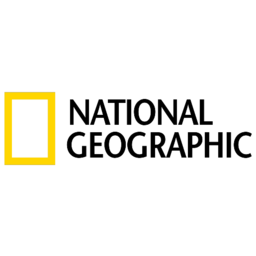 avatar logo